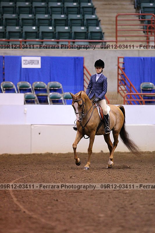 Proof 09r12-03411