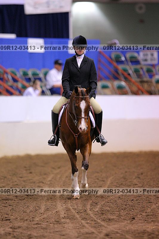 Proof 09r12-03413