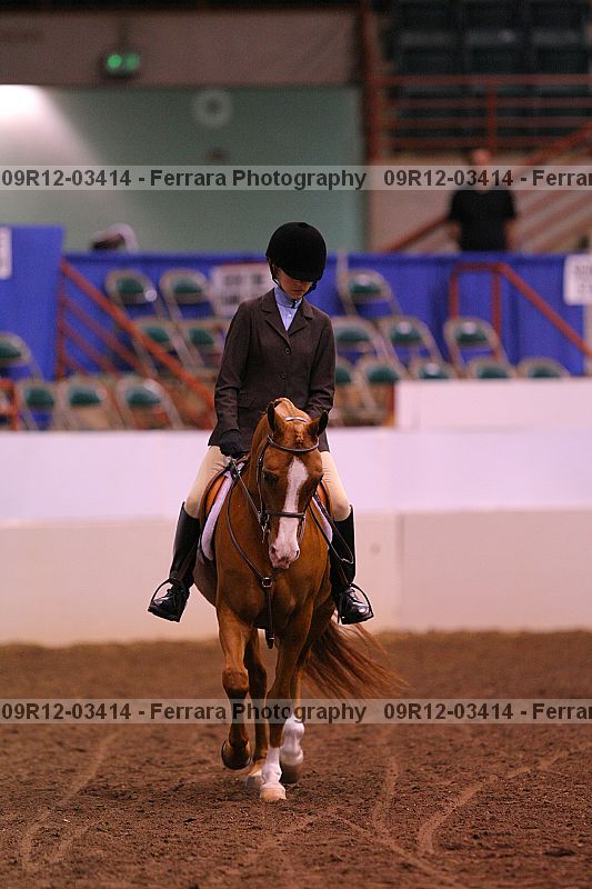 Proof 09r12-03414