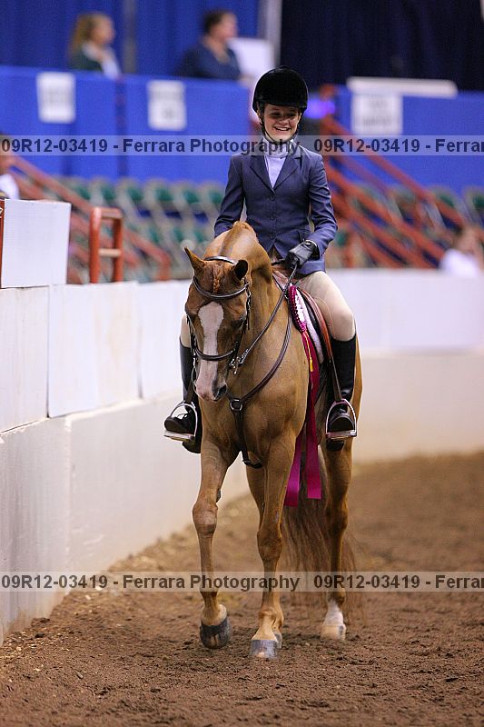Proof 09r12-03419