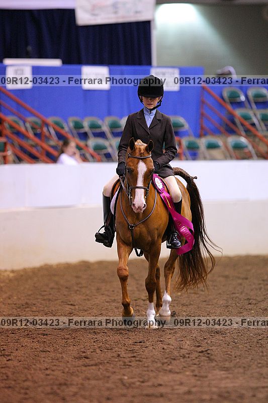 Proof 09r12-03423
