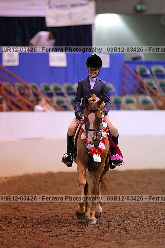 Proof 09r12-03426