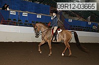 09r12-03665 proof