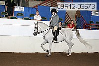 09r12-03673 proof