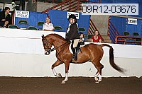 09r12-03676 proof