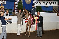 09r12-03677 proof