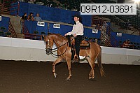 09r12-03691 proof