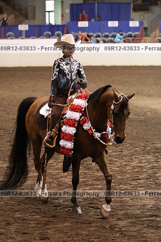 Proof 09r12-03633