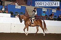 09r12-03741 proof