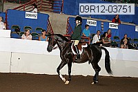 09r12-03751 proof