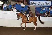 09r12-03754 proof