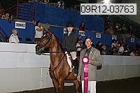 09r12-03763 proof