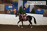 09r12-03792 proof