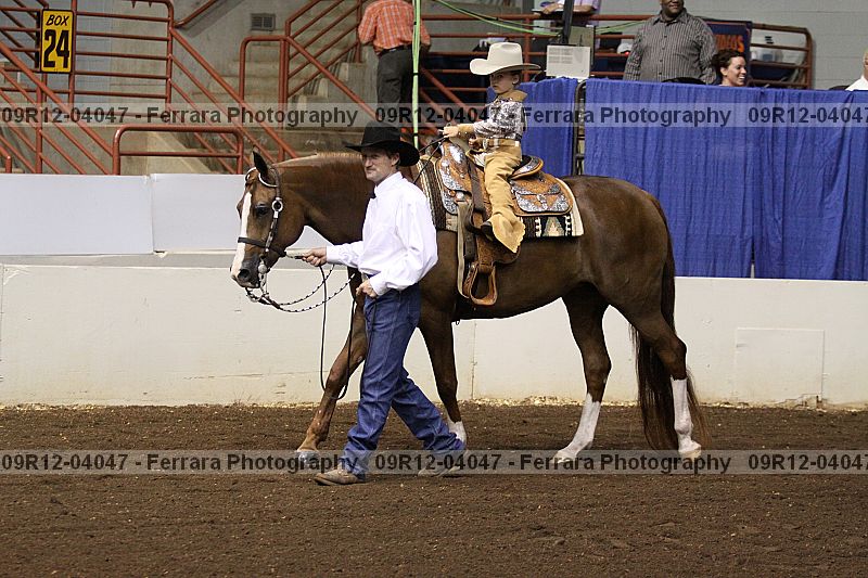 Proof 09r12-04047