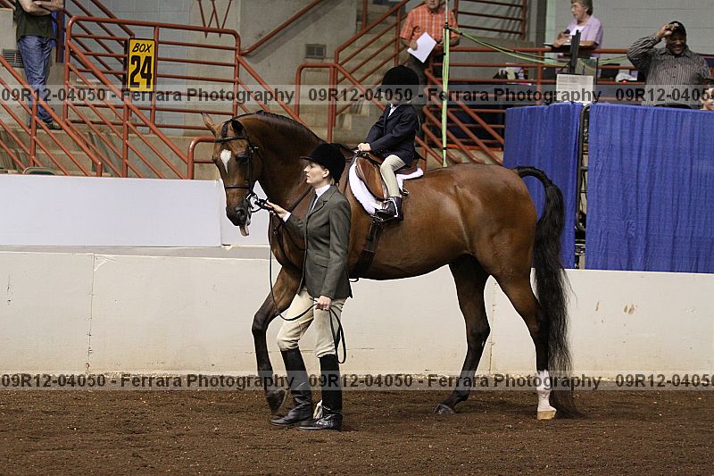 Proof 09r12-04050