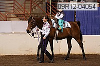 09r12-04054 proof