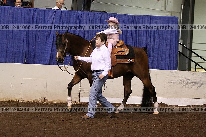 Proof 09r12-04066