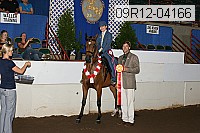 09r12-04166 proof