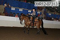 09r12-07313 proof