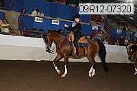 09r12-07320 proof