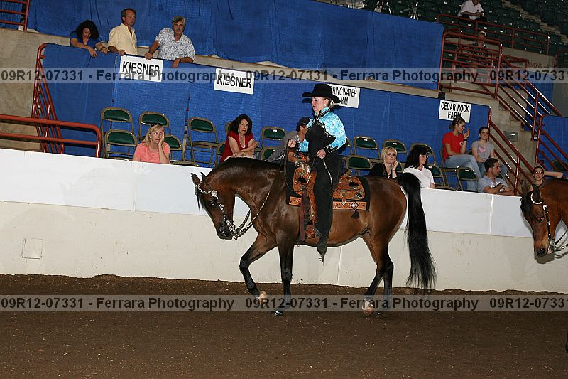 Proof 09r12-07331