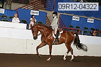 09r12-04322 proof