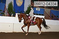 09r12-04334 proof