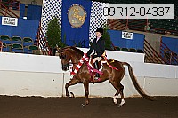 09r12-04337 proof