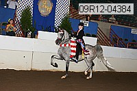 09r12-04384 proof