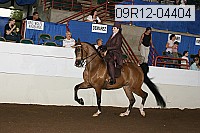 09r12-04404 proof