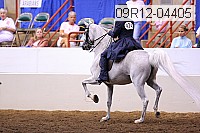 09r12-04405 proof