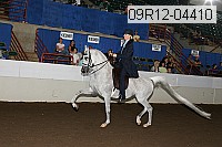 09r12-04410 proof
