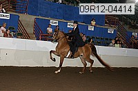 09r12-04414 proof