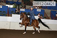 09r12-04421 proof