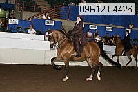09r12-04426 proof