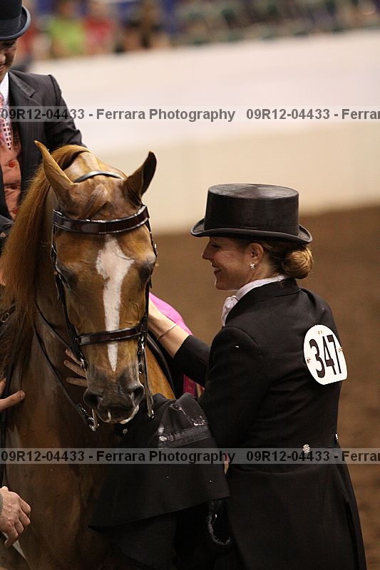 Proof 09r12-04433