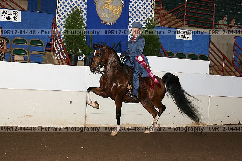 Proof 09r12-04448