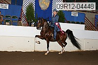 09r12-04448 proof