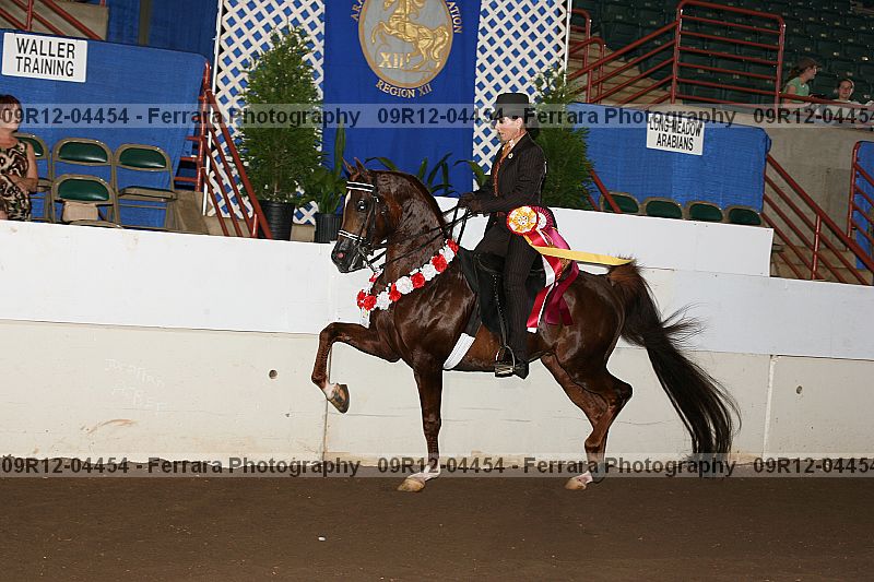 Proof 09r12-04454