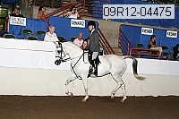 09r12-04475 proof