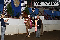 09r12-04489 proof