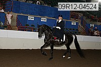 09r12-04524 proof