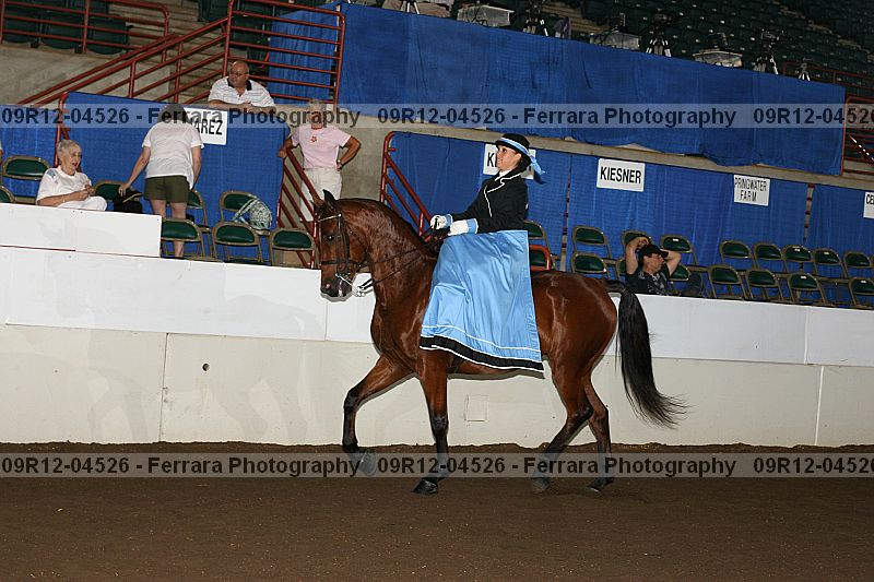 Proof 09r12-04526