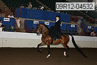 09r12-04532 proof