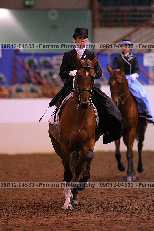 Proof 09r12-04533