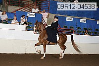09r12-04538 proof