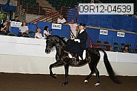 09r12-04539 proof
