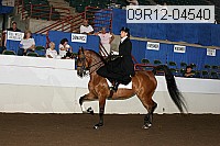 09r12-04540 proof