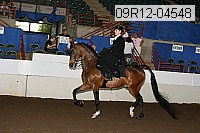 09r12-04548 proof