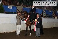 09r12-04552 proof